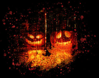 Halloween Scary Woods on Black - Creative Stock Images and Animations for all your Needs at Budget Price.