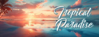 Tropical Paradise Banner - Unique Beach Sunset Image